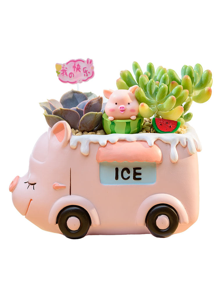Creative Succulent Flower Pots for Kindergarten Plant Corners, Cute Cartoon Car and Animal Decorations, Gift for Boys